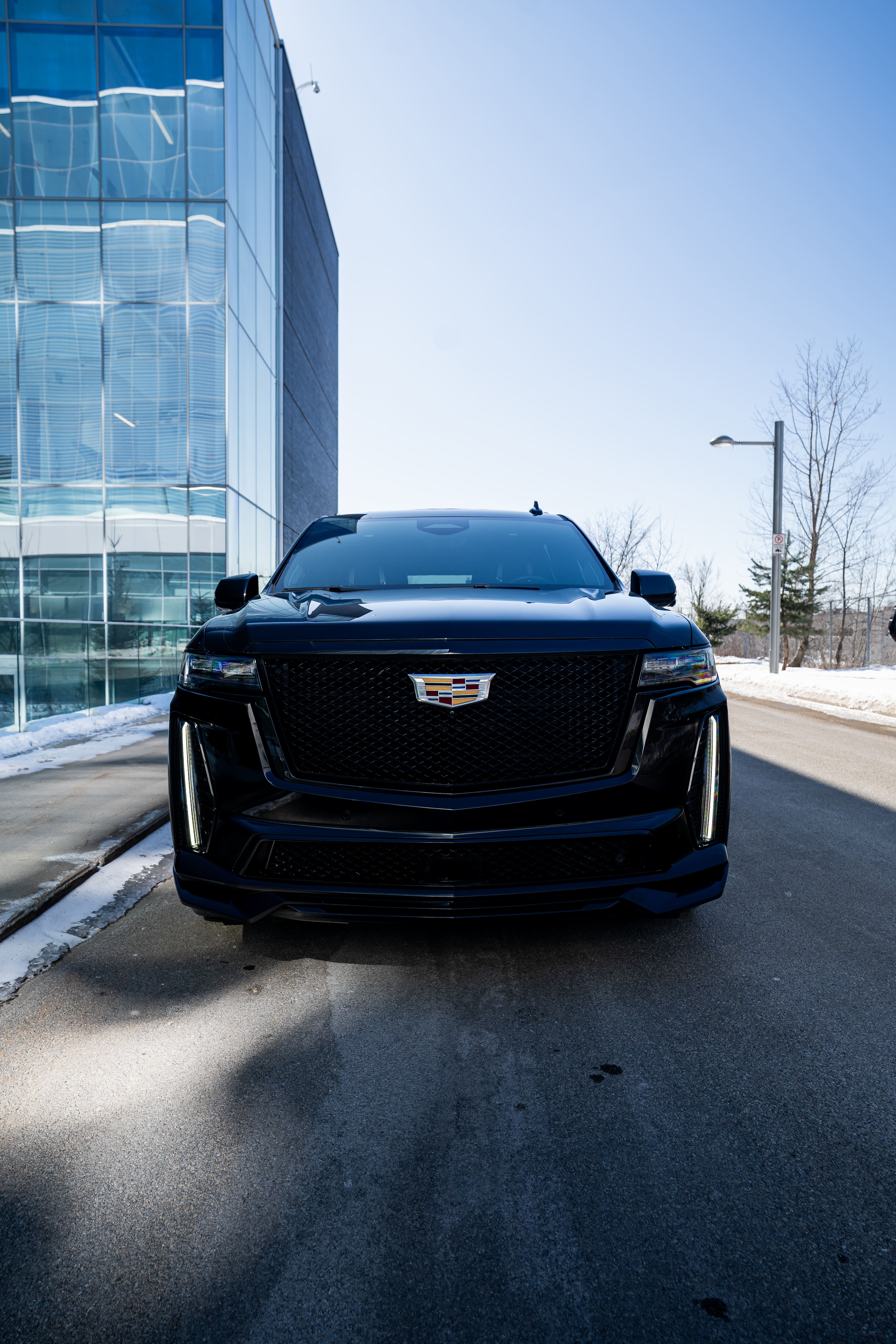 CADILLAC ESCALADE ESV